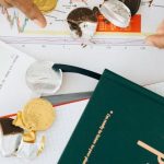 Books Graph - Person Holding a Gold Chocolate Coin on the Table with a Green Book