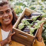 Industry Growth - Joyful middle aged ethnic female farmer in casual clothes smiling and carrying wooden box with heap of fresh organic eggplants while working on plantation on sunny day