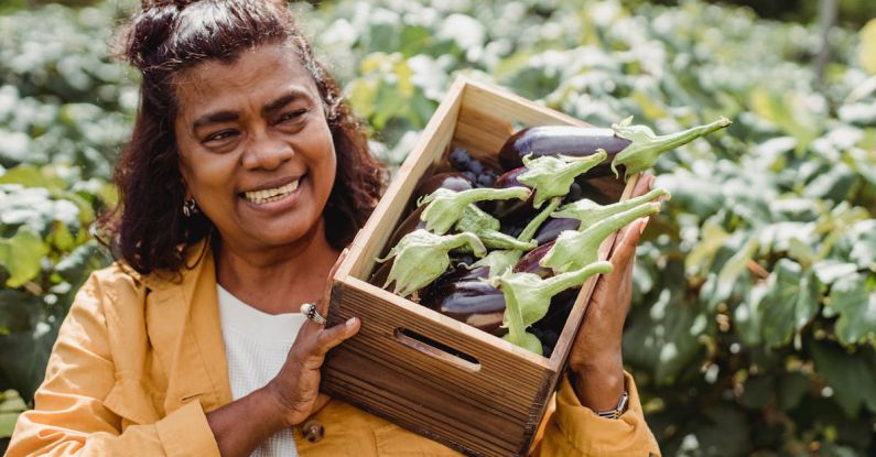 Industry Growth - Joyful middle aged ethnic female farmer in casual clothes smiling and carrying wooden box with heap of fresh organic eggplants while working on plantation on sunny day