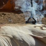 Branding Iron - Branding Cattle in Close Up