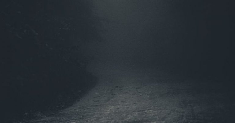 Pathway Tree - Mysterious spooky lane in dark forest
