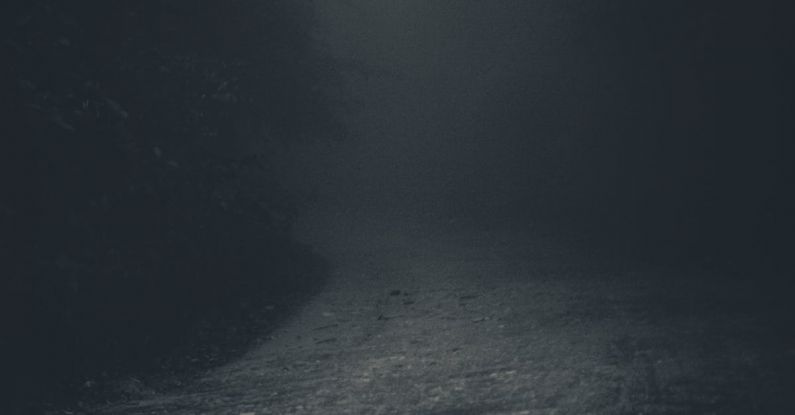 Pathway Tree - Mysterious spooky lane in dark forest